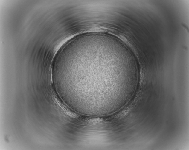 X0000100860838200807070931