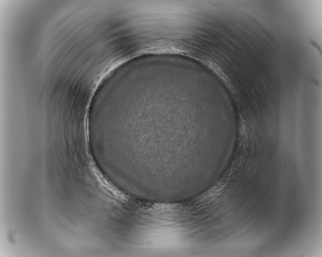 X0000100860840200807070932