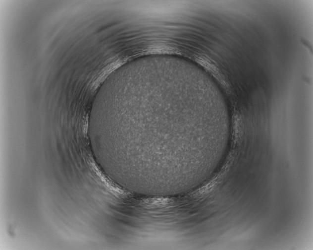 X0000100860841200807070932