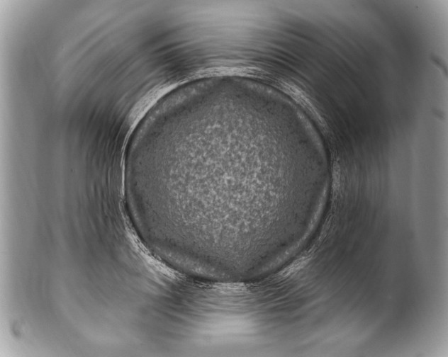 X0000100860844200807070932