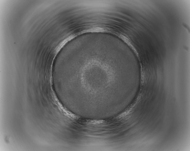 X0000100860845200807070932