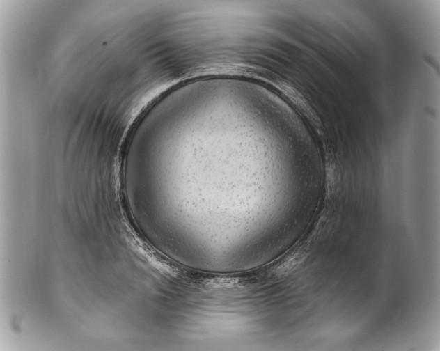 X0000100860846200807070932