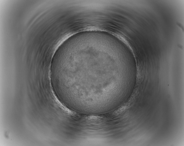 X0000100860847200807070932