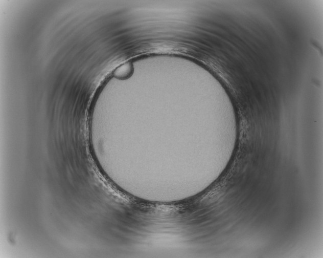 X0000100860848200807070932