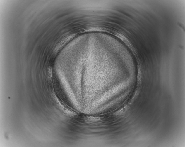 X0000100860849200807070932