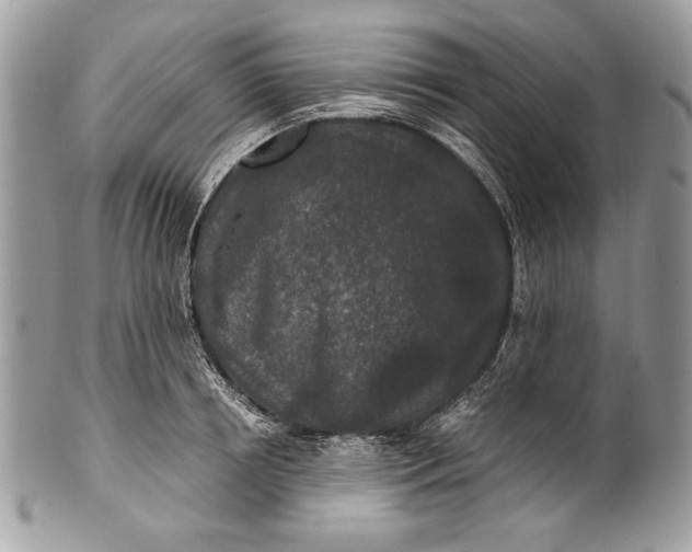 X0000100860850200807070932