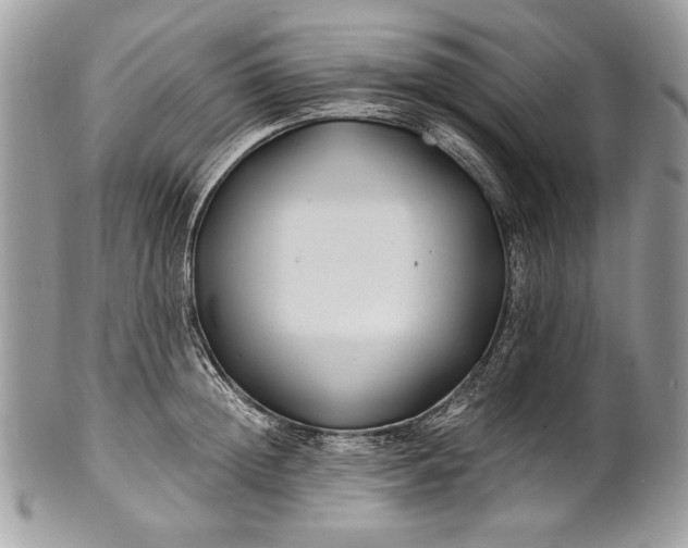 X0000100860852200807070932