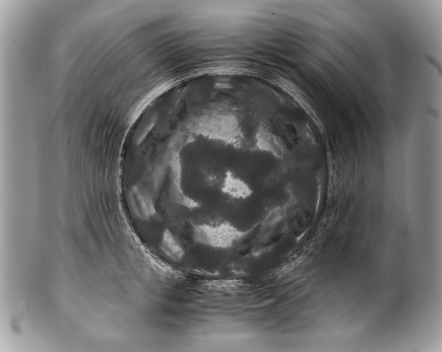 X0000100860853200807070932