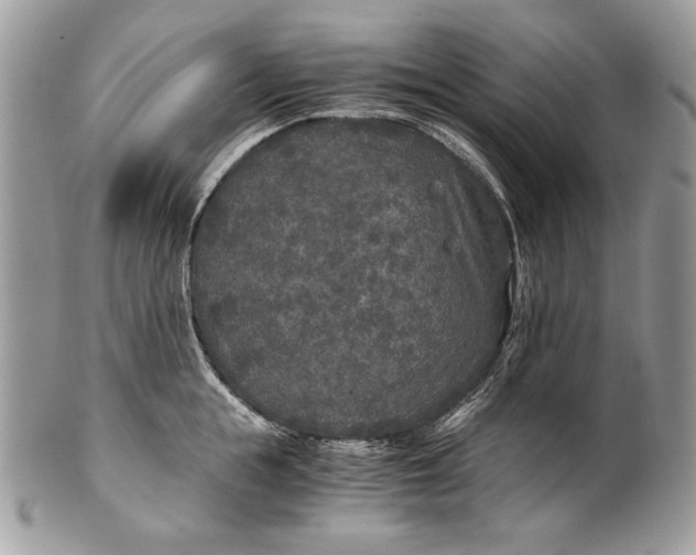 X0000100860855200807070932