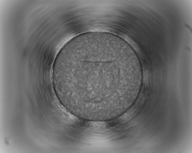 X0000100860856200807070932