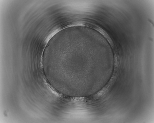 X0000100860858200807070932