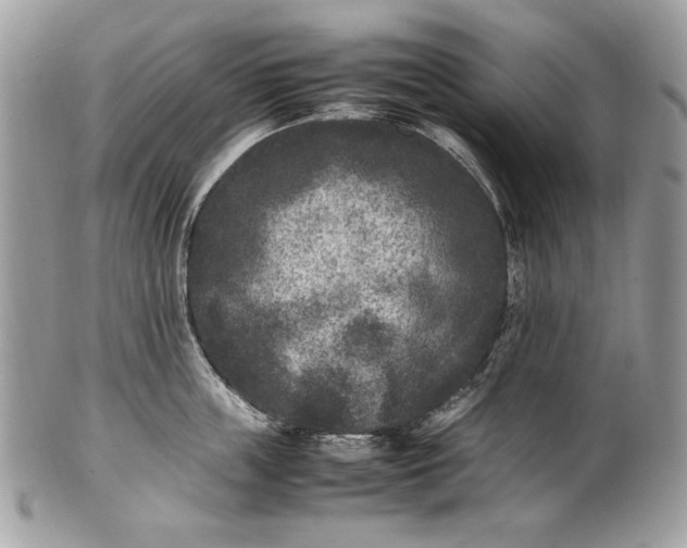 X0000100860859200807070932