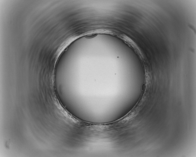 X0000100860860200807070932