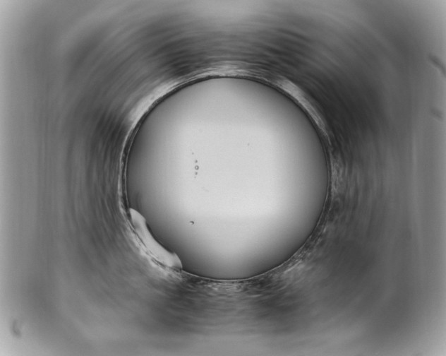 X0000100860861200807070932