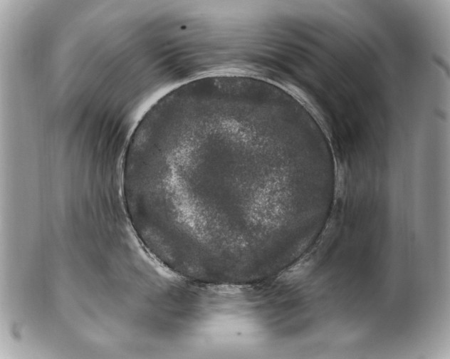 X0000100860862200807070932