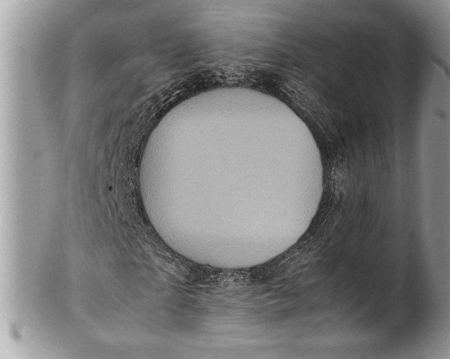 X0000100860865200807070931