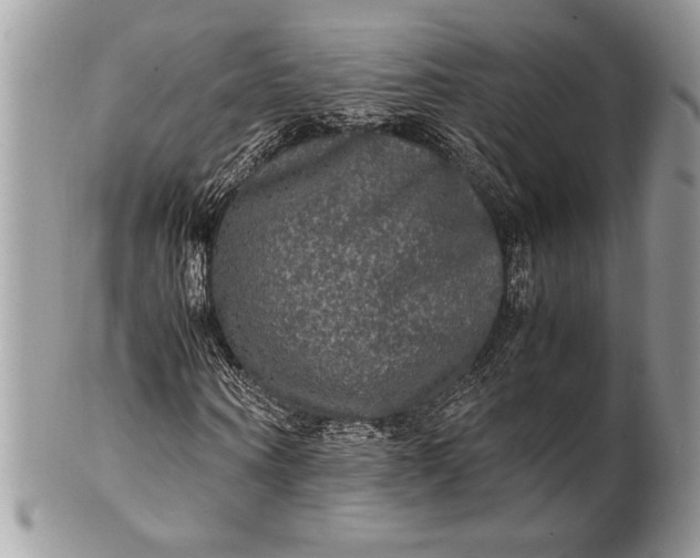 X0000100860866200807070931