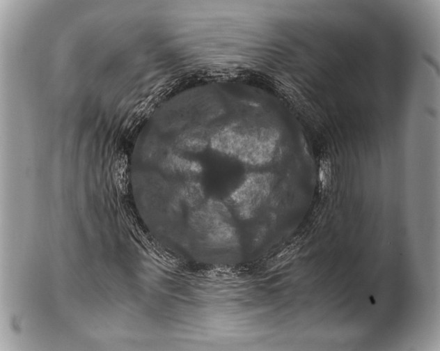 X0000100860867200807070931