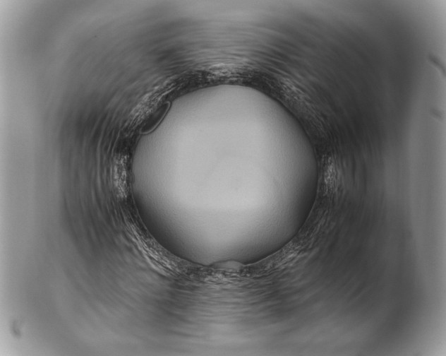 X0000100860868200807070931