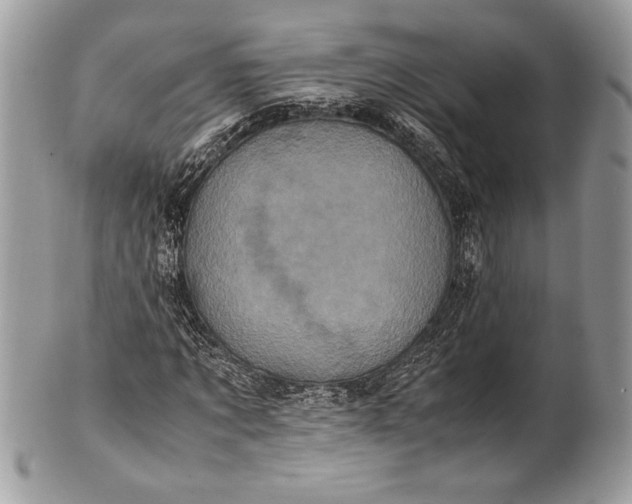 X0000100860869200807070931