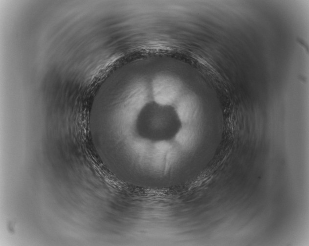 X0000100860870200807070931