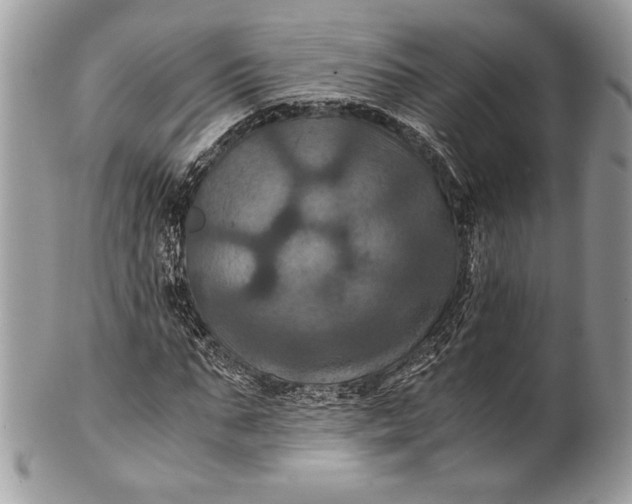 X0000100860871200807070931