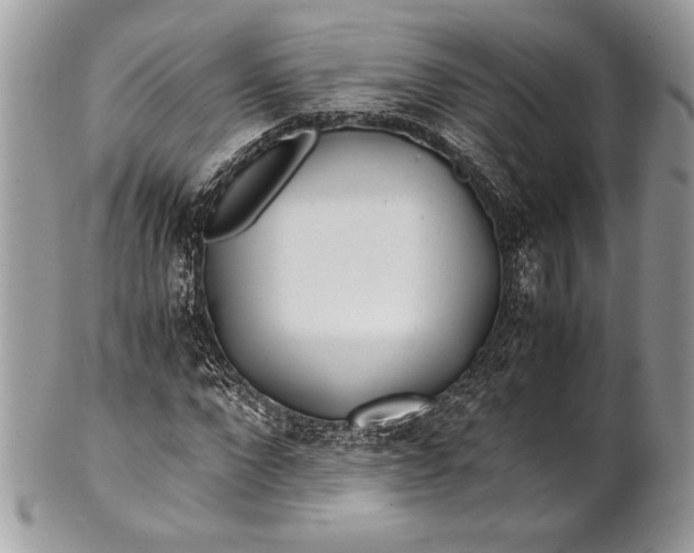 X0000100860872200807070931