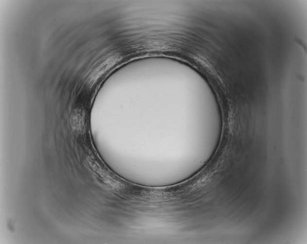 X0000100860873200807070931