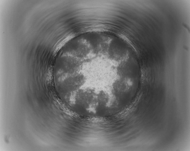 X0000100860874200807070931