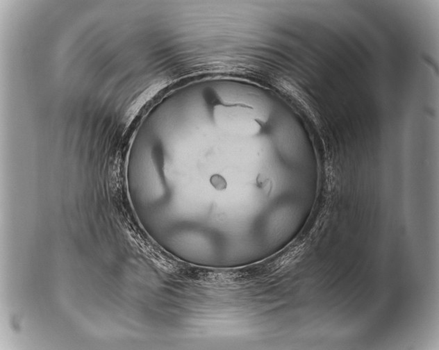 X0000100860875200807070931