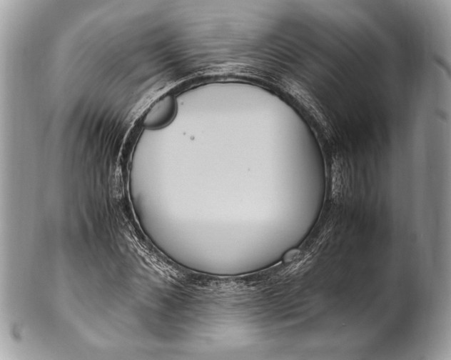 X0000100860876200807070931