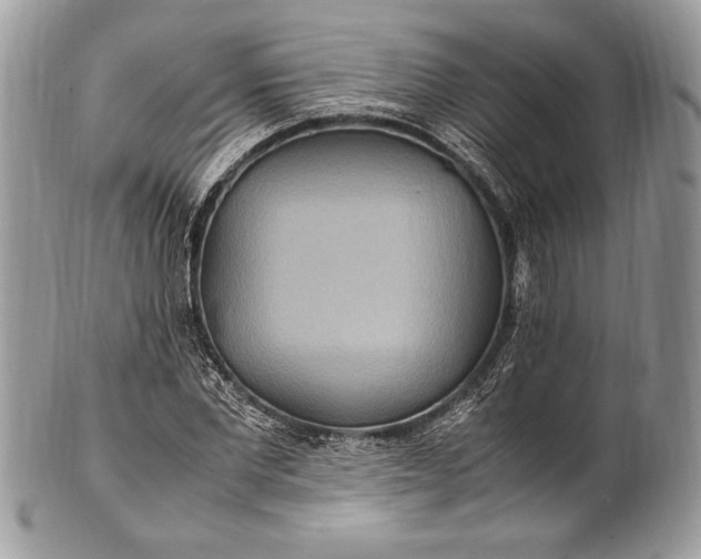 X0000100860877200807070931