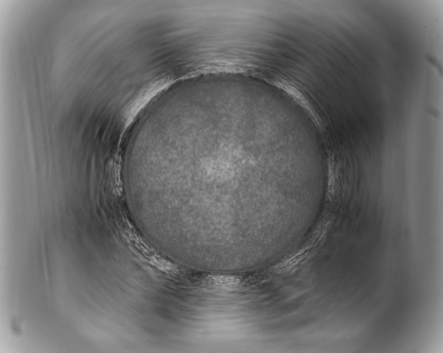 X0000100860878200807070931