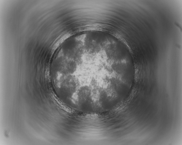 X0000100860882200807070931