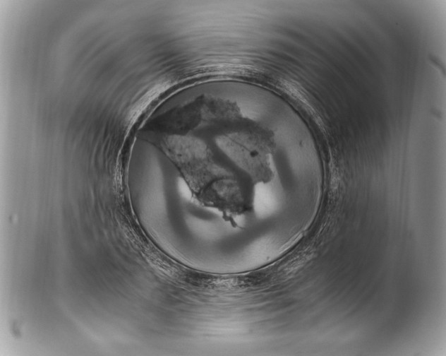 X0000100860883200807070931