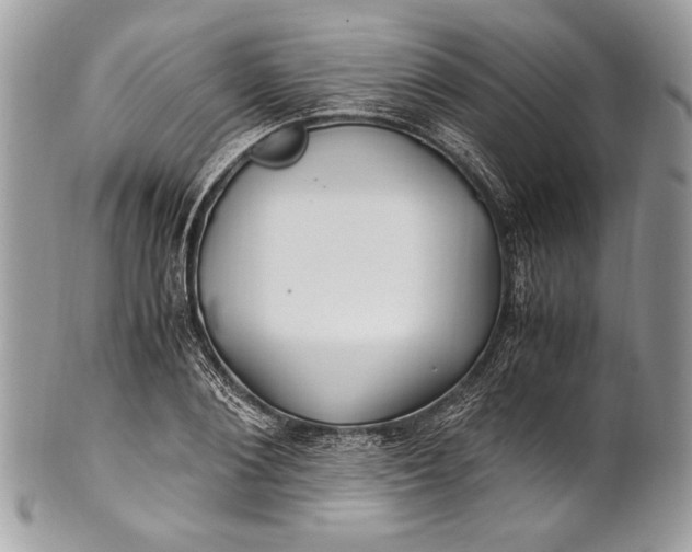 X0000100860884200807070931