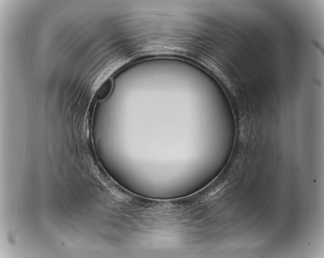 X0000100860885200807070931