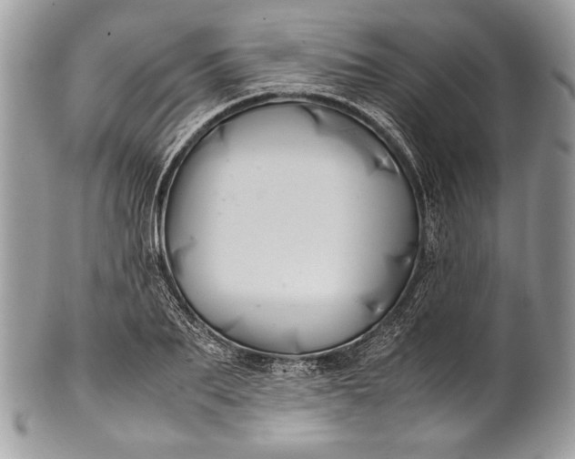 X0000100860887200807070931