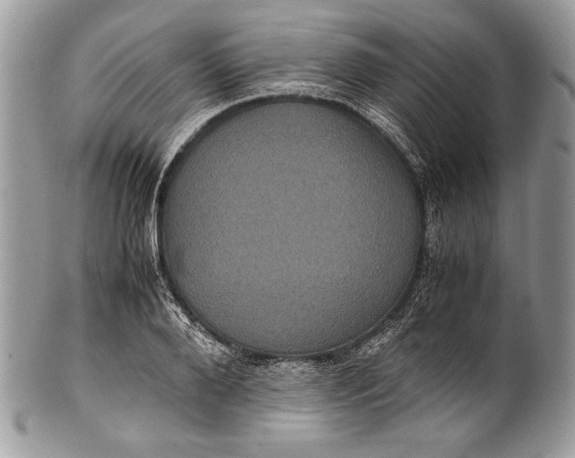 X0000100860888200807070931