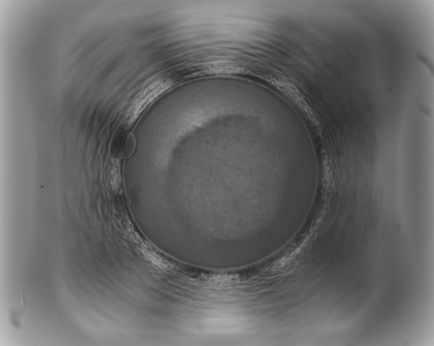 X0000100860889200807070931