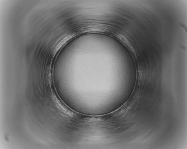 X0000100860890200807070931