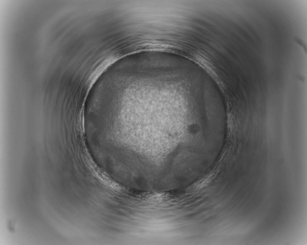 X0000100860891200807070931