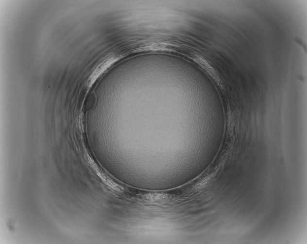 X0000100860893200807070931