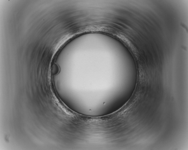 X0000100860894200807070931