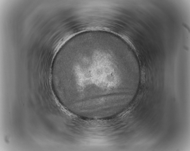 X0000100860895200807070931