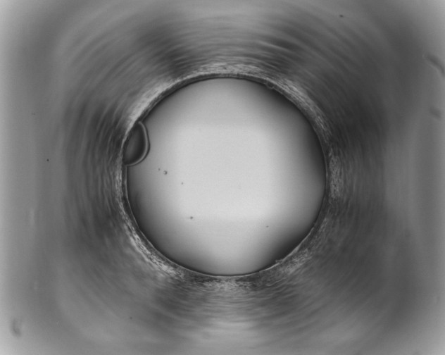 X0000100860896200807070931