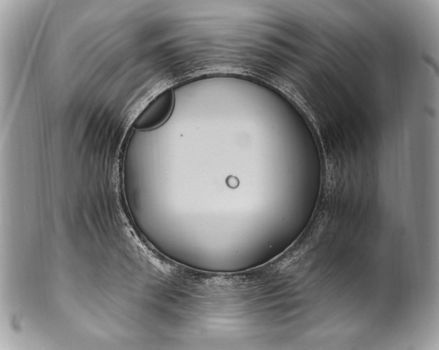 X0000100860898200807070931