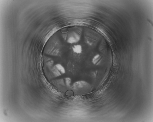 X0000100860899200807070931