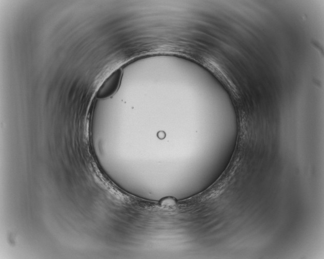 X0000100860900200807070931