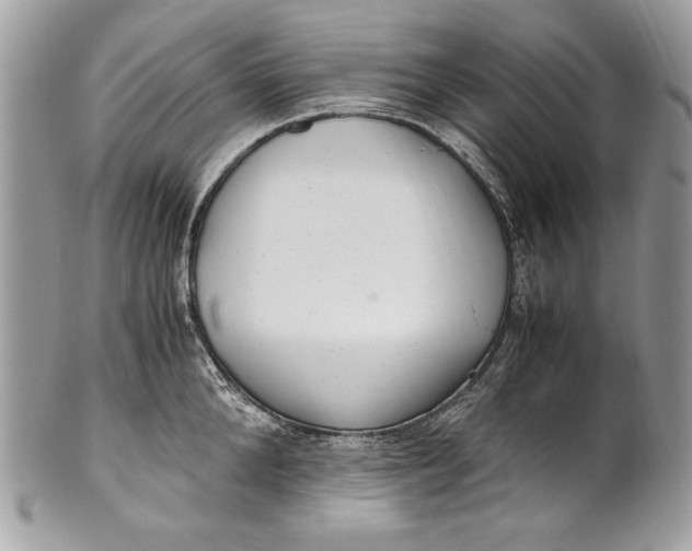 X0000100860904200807070930